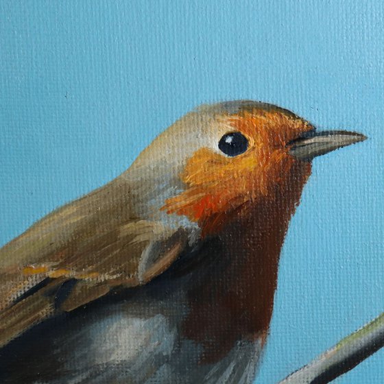 Robin on a Wire, Bird Artwork, Animal Art Framed