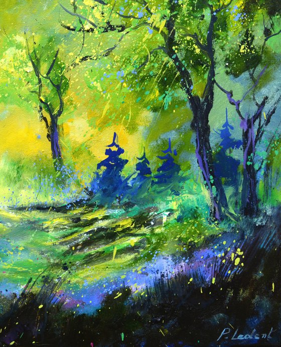 Spring in the wood