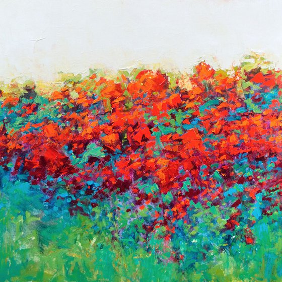 Red Poppies, 24x24 inches