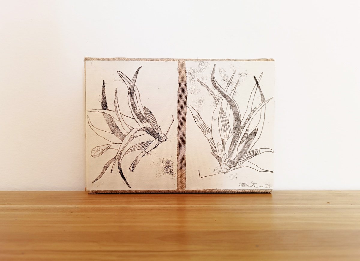 Organic Botanical Limited Edition Print By Isabellangela Germinario, 9 X 6, Pianta Aerea 1.0, Original Artwork