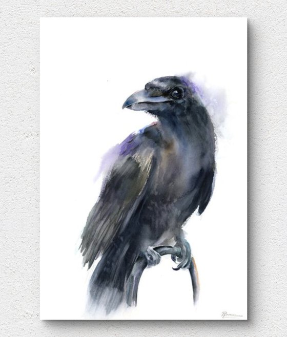 Majestic Raven