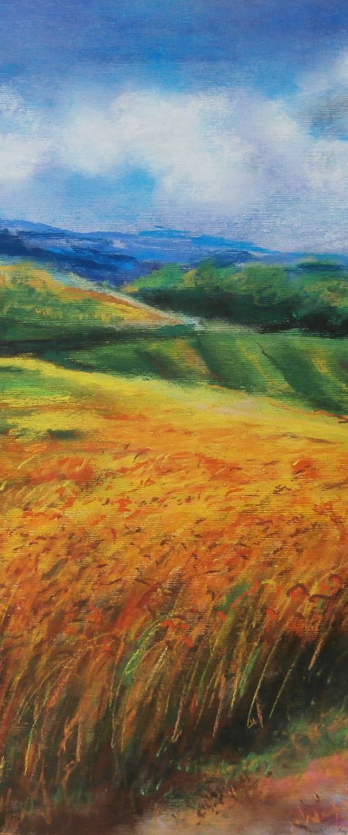 WHEAT FIELD by Zoran Mihajlović Muza