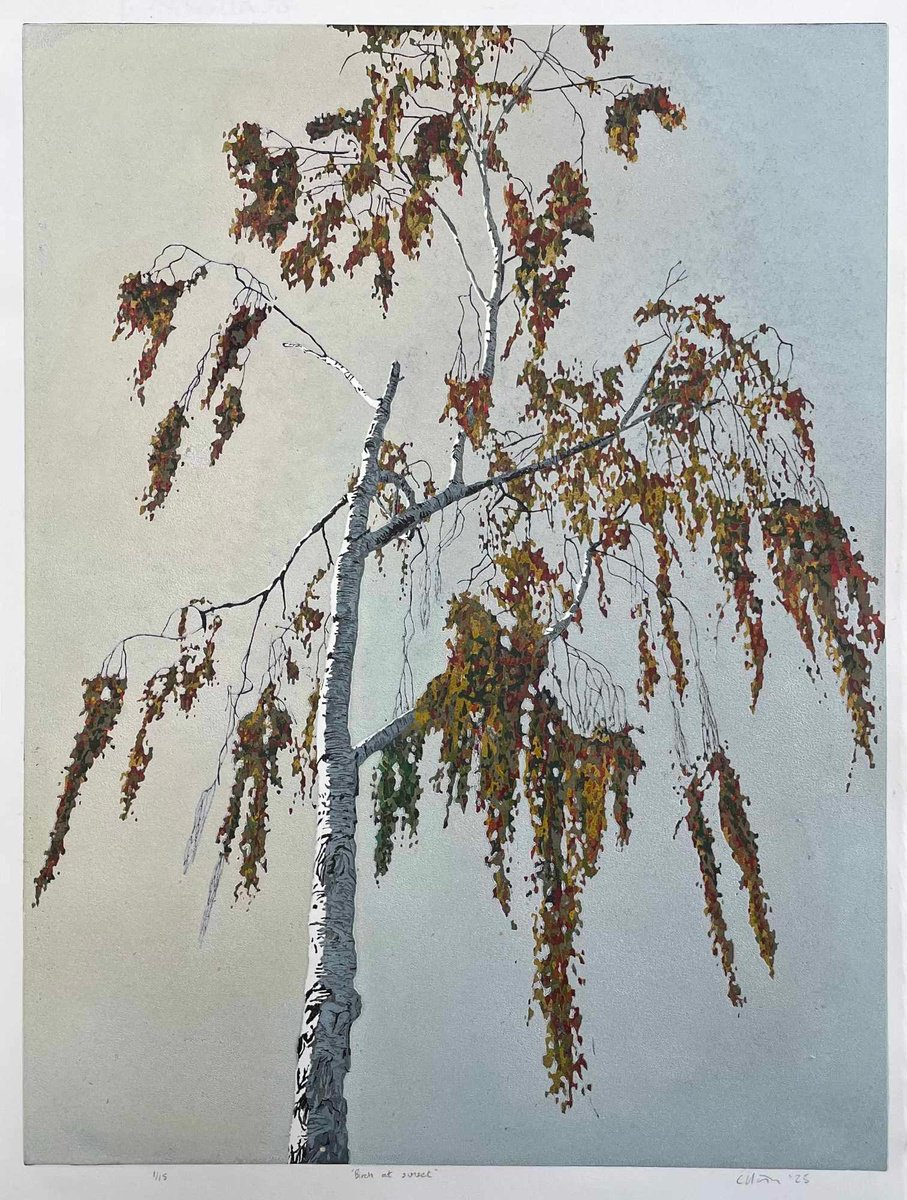 Impressionistic Linocut , Birch At Sunset Linocut By C Staunton, 13 X 18, Artwork For Sale On Artfinder