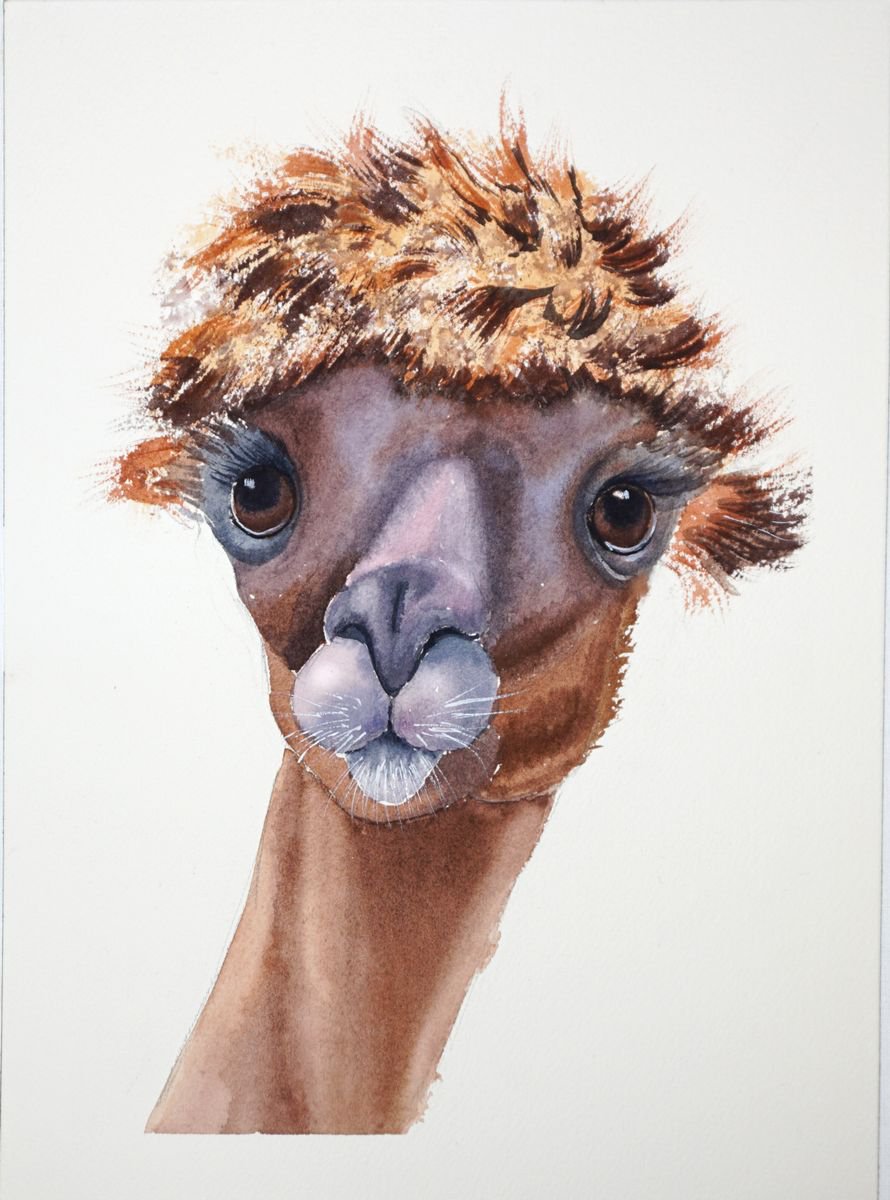 Lama by Olga Shefranov (Tchefranova)