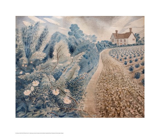 Potato Field