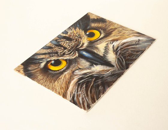 "Owl's Gaze — Golden Eyes That Hypnotize"