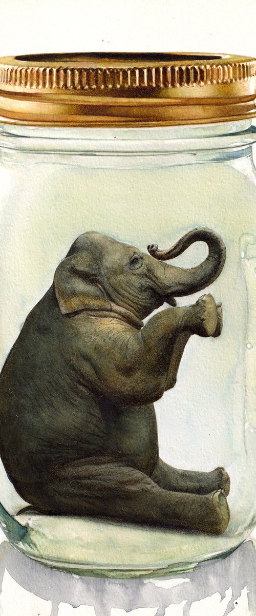 Elephant in Jar III by REME Jr.