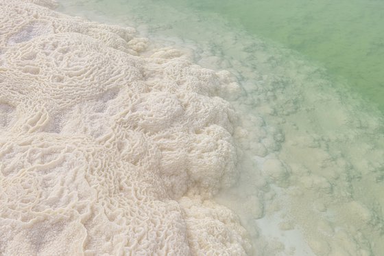 Dead Sea. Patterns of solid salt