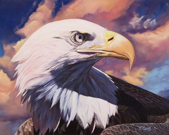 Bald eagle portrait