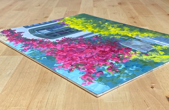 Bougainvillea In Carmel Courtyard