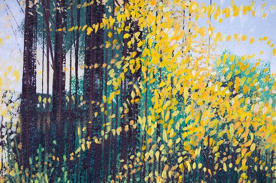 Sunlight Through Autumn Trees