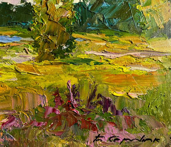 In the Summer Forest