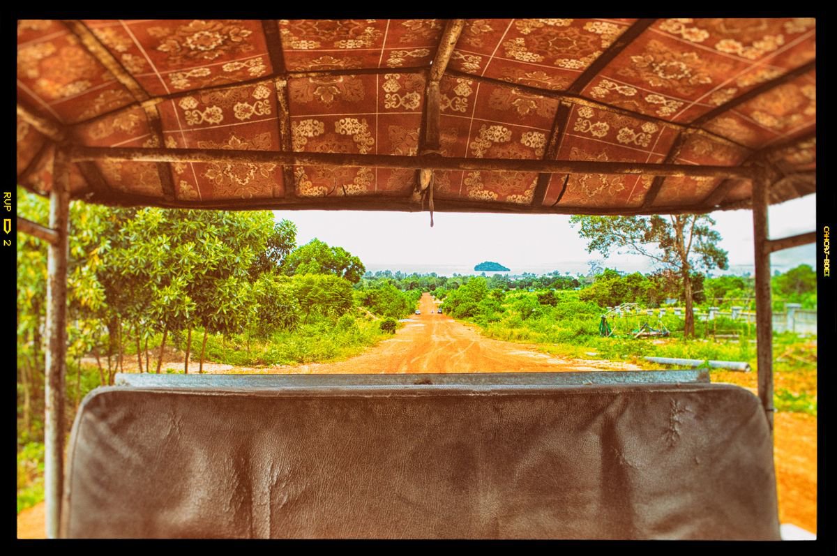 Organic Landscape Photograph By Marc Ehrenbold, 40 X 30", On The Road, Original Artwork