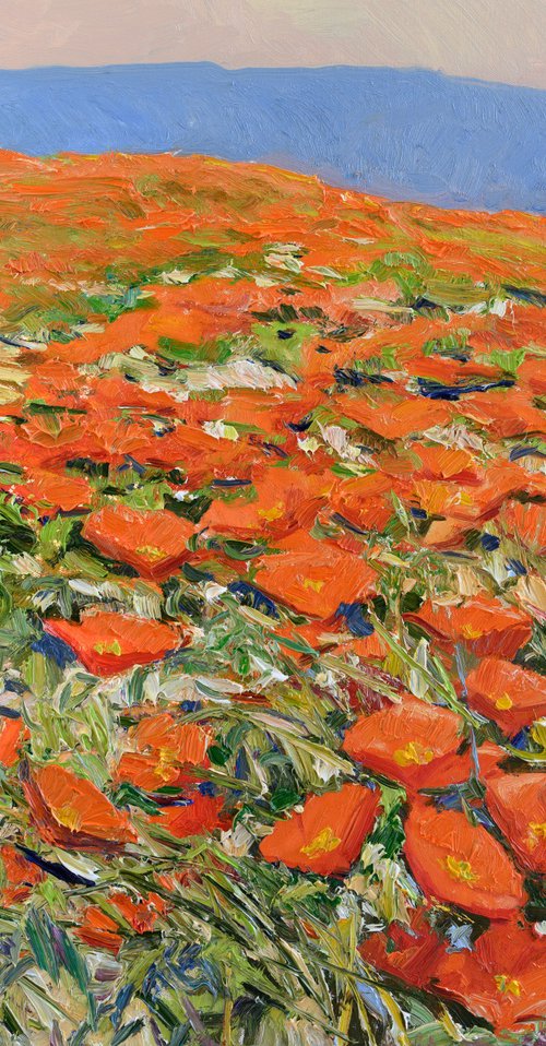 California Poppies, Superbloom by Suren Nersisyan