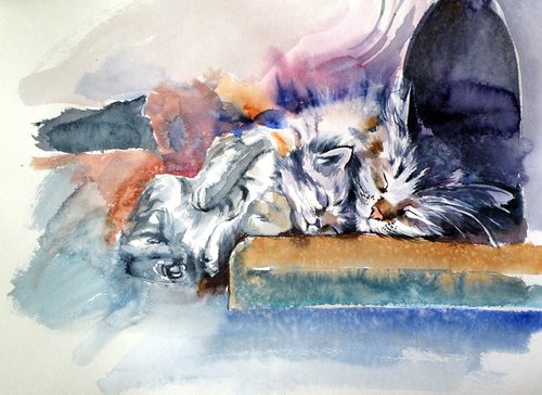 Sleeping cats by Kovács Anna Brigitta