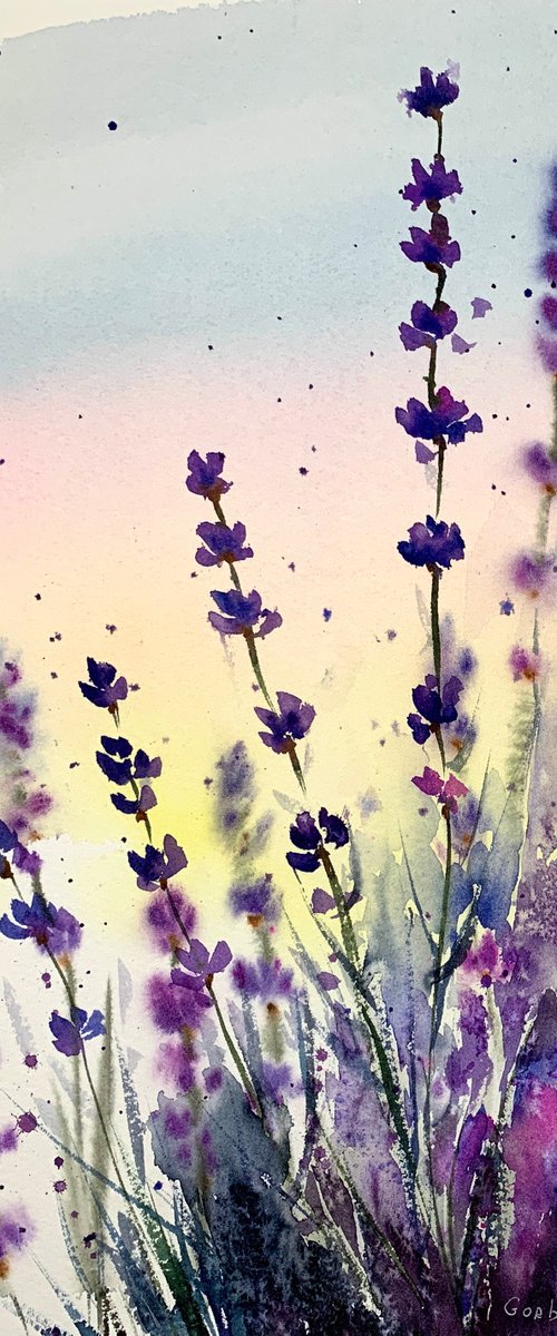 lavender by Eugenia Gorbacheva