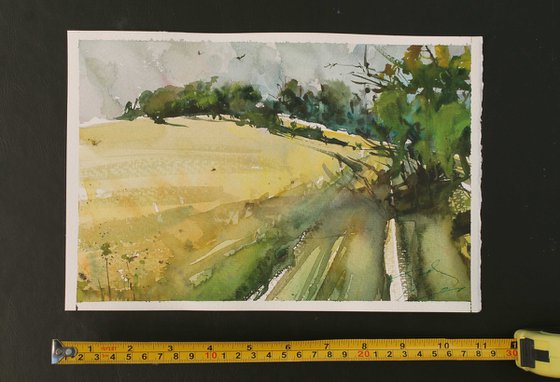 Yellow Fields