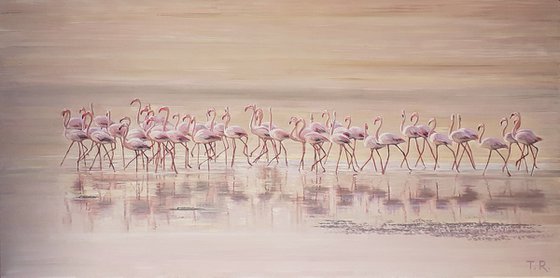 A MORNING BEACH PATROL / FLAMINGOS