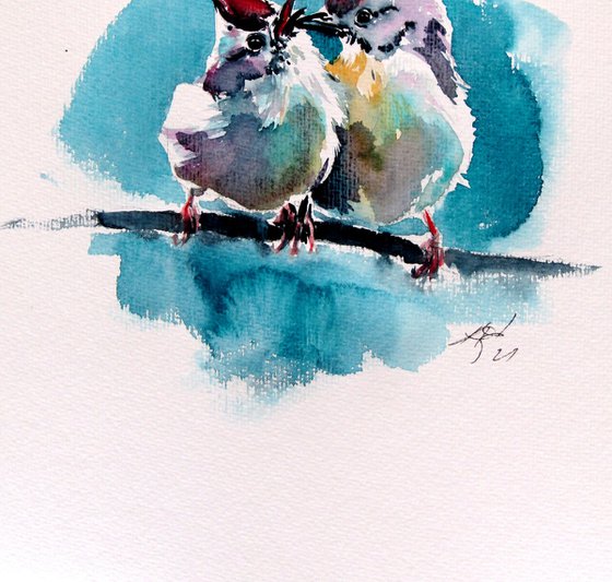 Cute birds