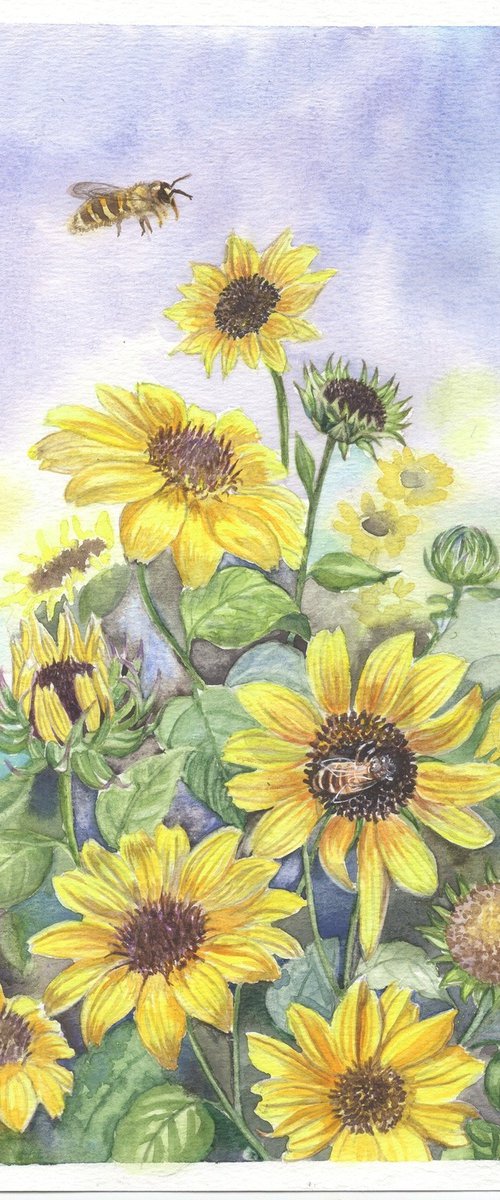 Sunflowers by Shweta  Mahajan