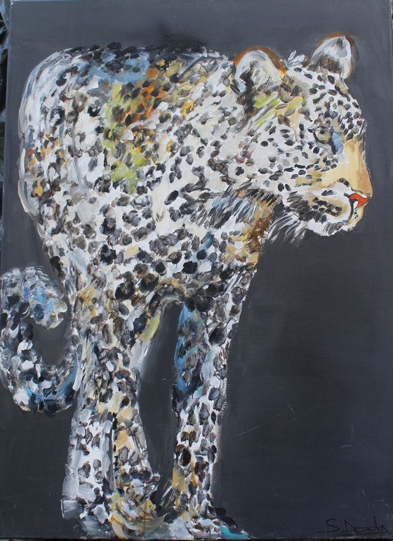 Leopard in my one way 71x100