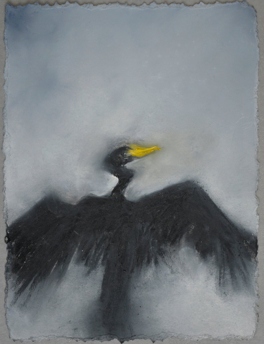 Cormorant stretching wings by Kc Paillard