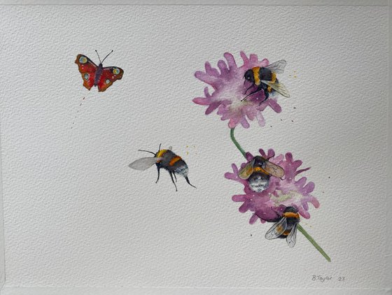 Bees and butterflies