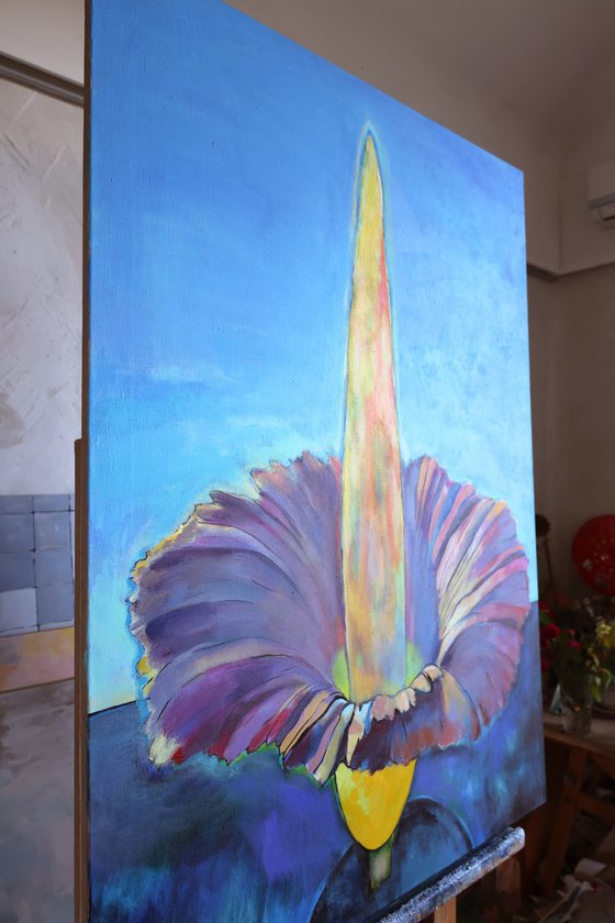 Amorphophallus Titanum