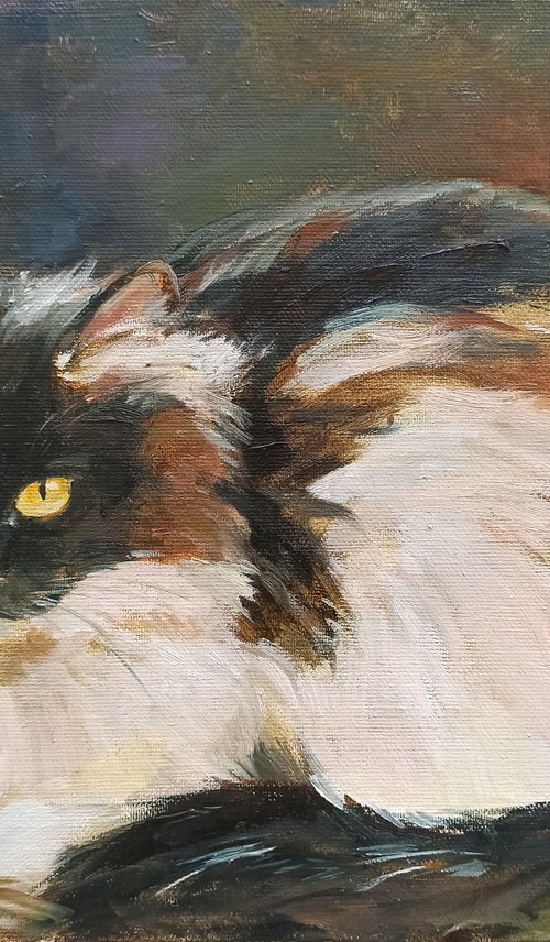Calico Cat by Elena Utkina