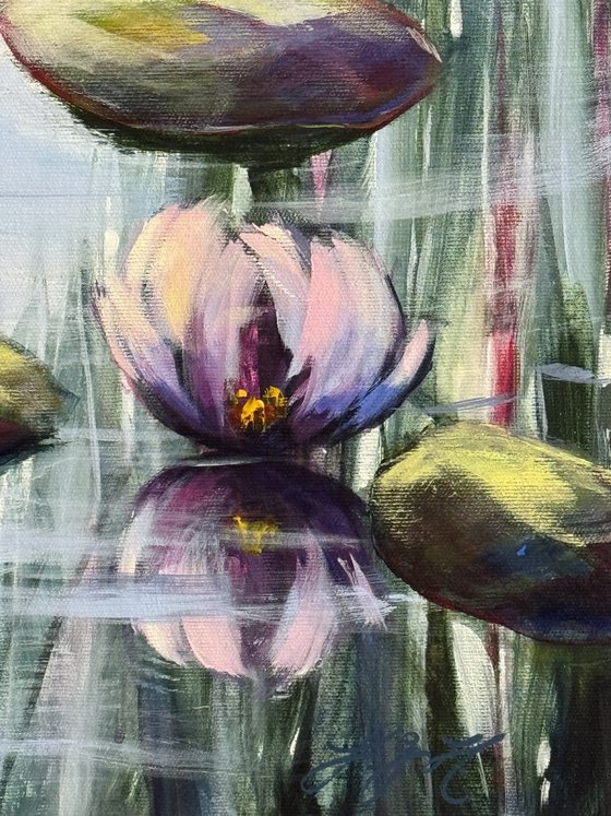 Light & Water Lilies 2