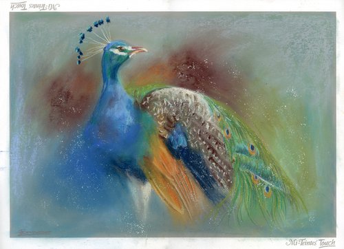 Peacock - Original Pastel Drawing by Olga Tchefranov (Shefranov)
