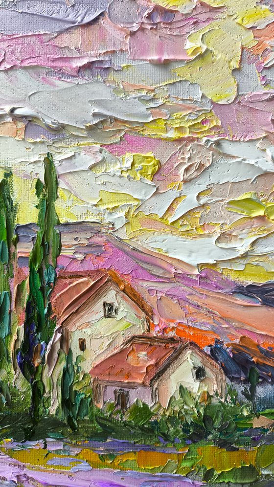 Lavender Field