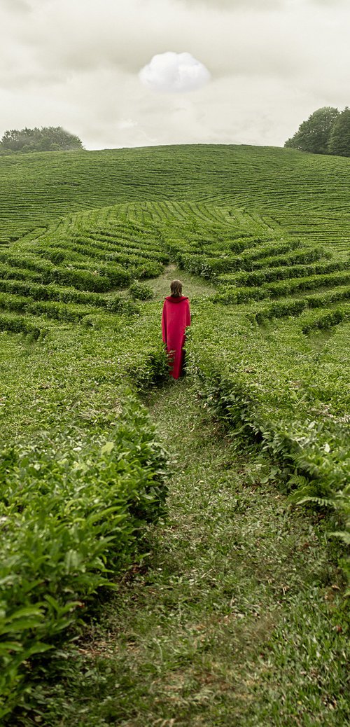 Guide You by Dasha Pears