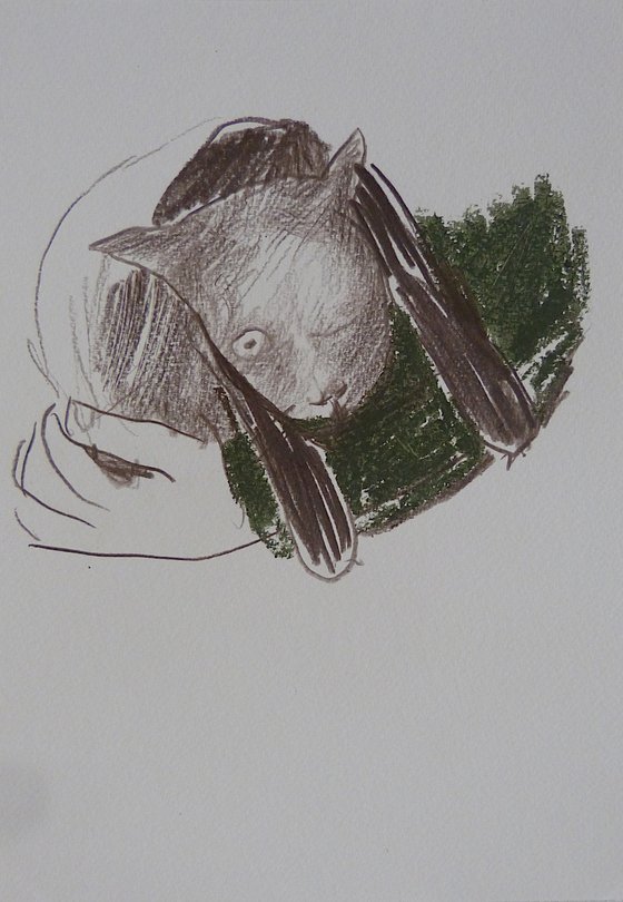 Rubin the resque kitten