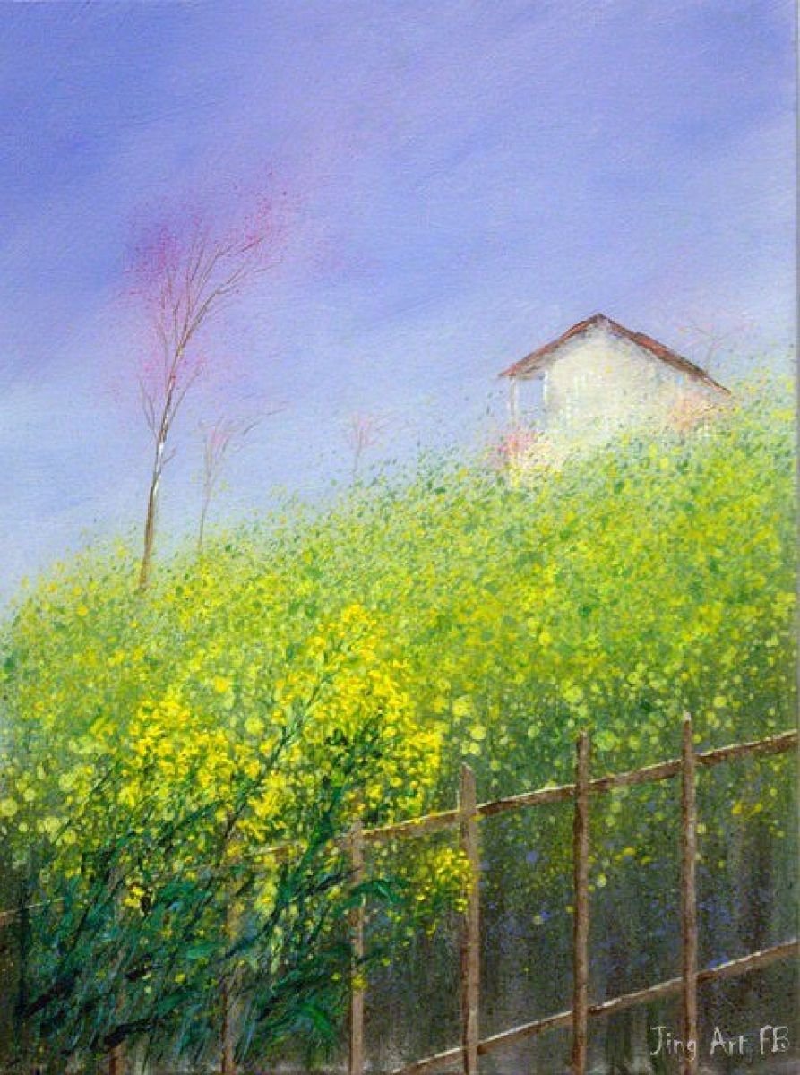 Yellow flower of Canola around a farmhouse by Jing Tian