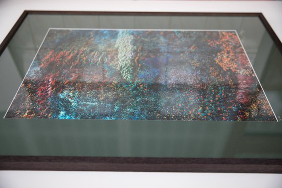 Wall of Nature V (Framed)