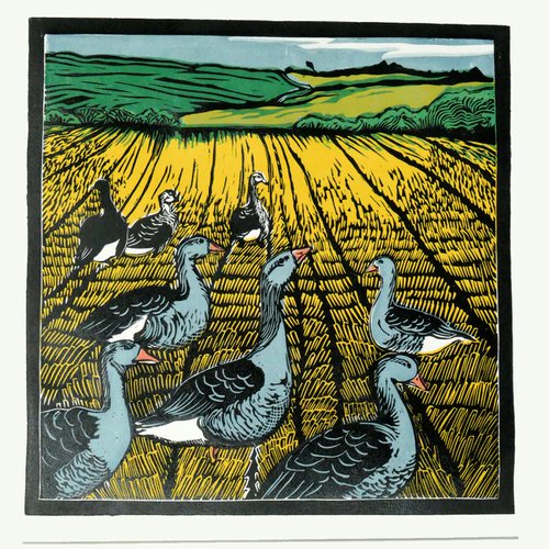 Geese in the Corn by Keith Alexander