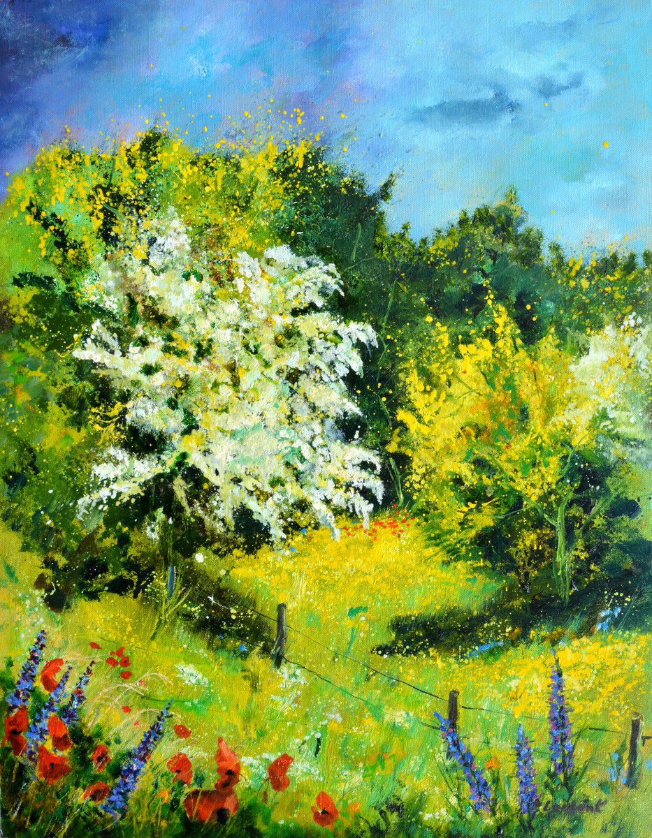Blooming Hawthorn - 7924 By Pol Henry Ledent, 28 X 35, Artwork For Sale On Artfinder