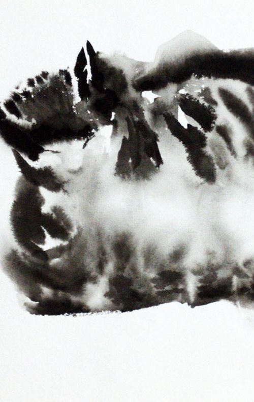 Cat caught napping by Asha Shenoy