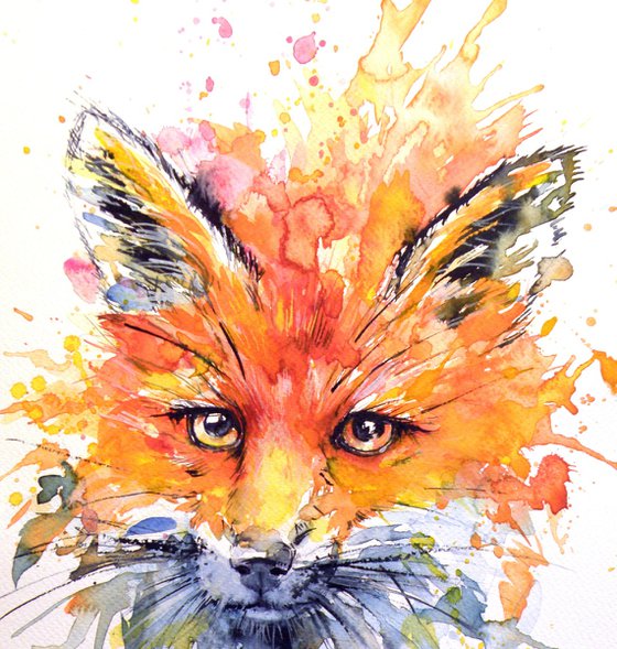 Red fox