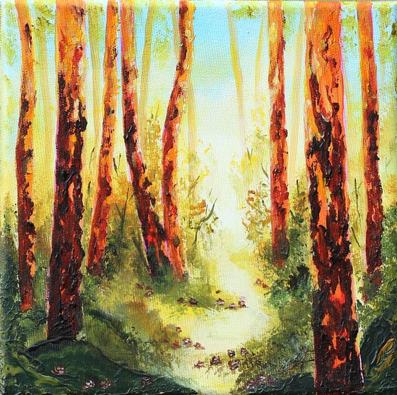 Into the Sunlit Pines