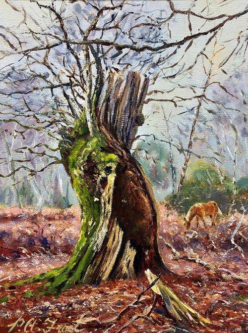 Old Oak by Peter Frost