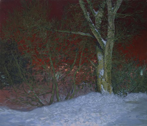 Winter night by Simon Kozhin