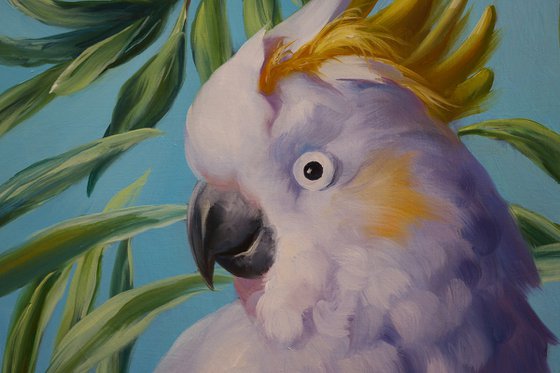 "White Cockatoo"