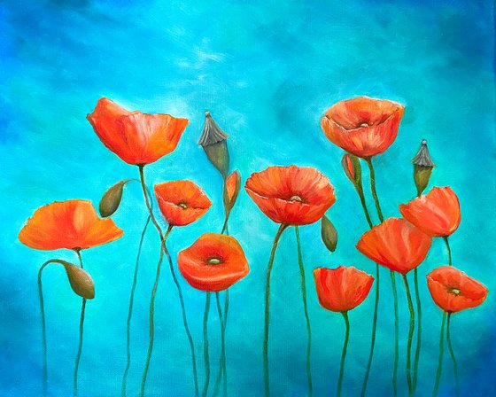 Poppies