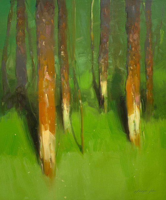 Forest Trees