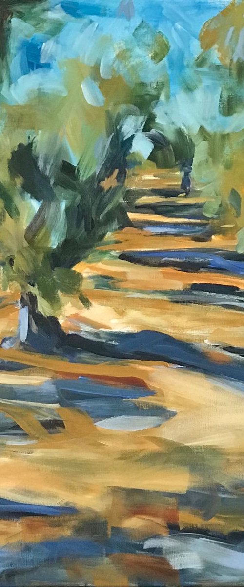 Olive Grove in Sunshine by Roberta Heslop