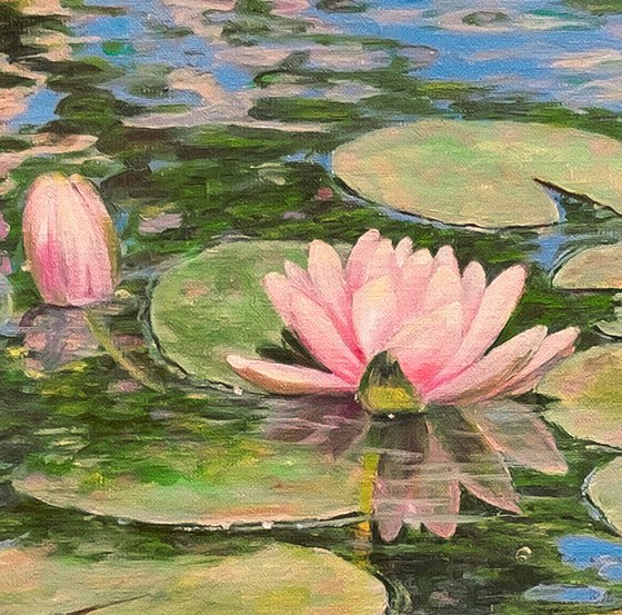 Water Lily Pond
