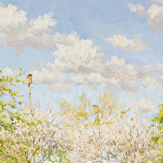 Sunny Morning