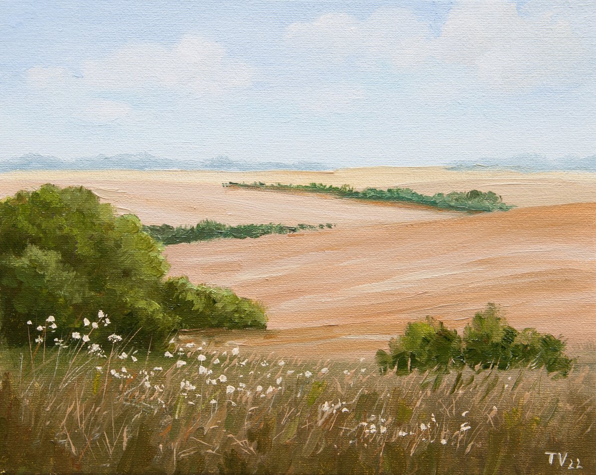 Summer Nature. Oil Painting. Canvas. Fields. Green Trees. Artwork 8 x 10 by Tetiana Vysochynska